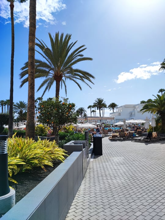 Pool Hotel Riu Paraiso Lanzarote
