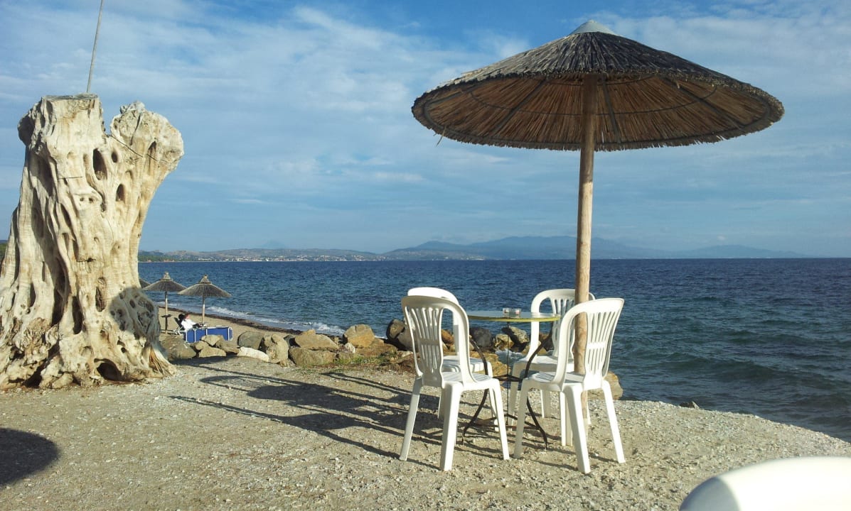 Stranbar/Strand Blue Dolphin Resort Hotel
