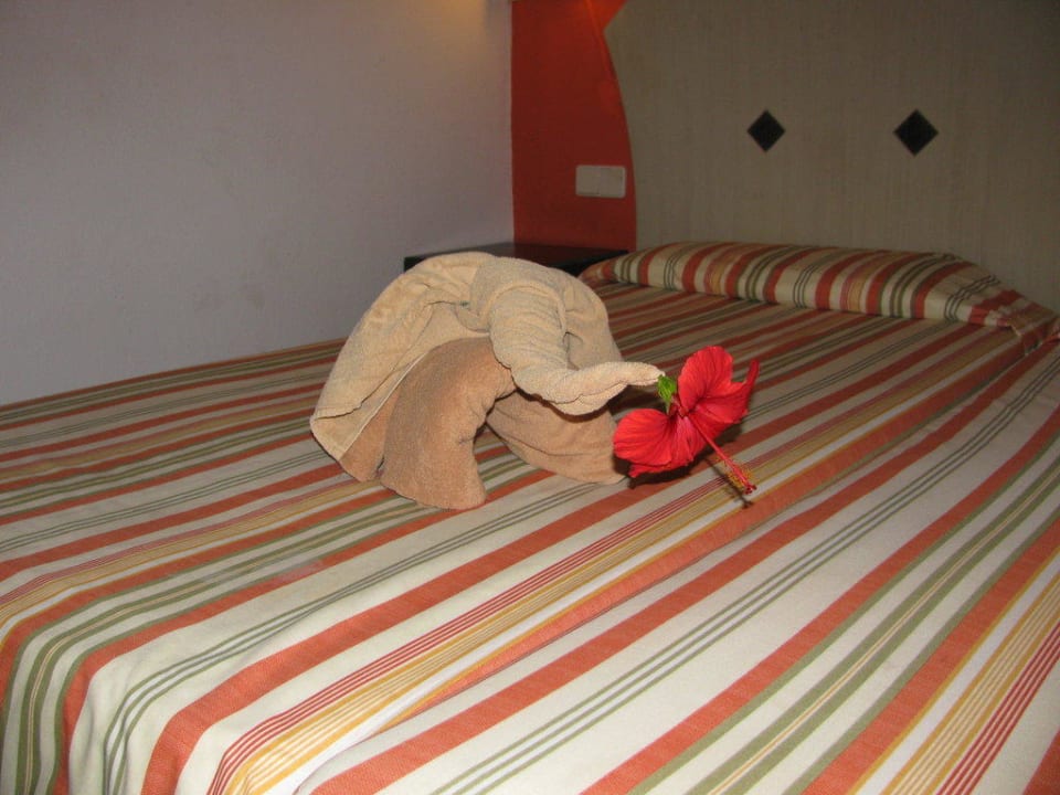 Kleine Aufmerksamkeit der Putzfrau SBH Hotel Taro Beach