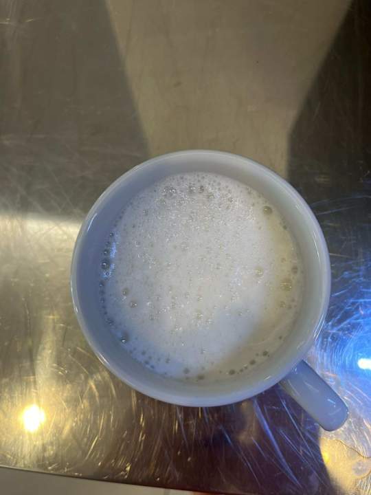 Gastro Alua Boccaccio