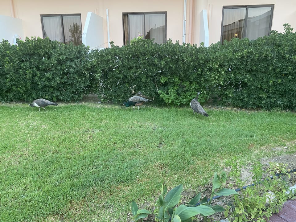 Außenansicht Myrina Beach Hotel