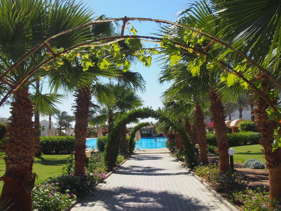 Gartenanlage Happy Life Village