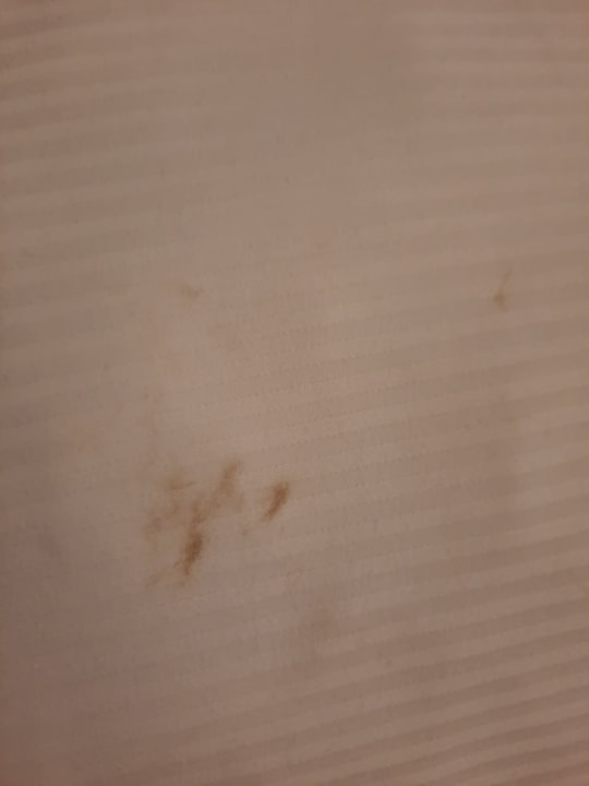 Zimmer Center Parcs Park Allgäu