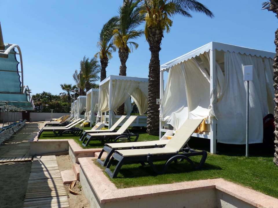 Am Badestrand Papillon Ayscha