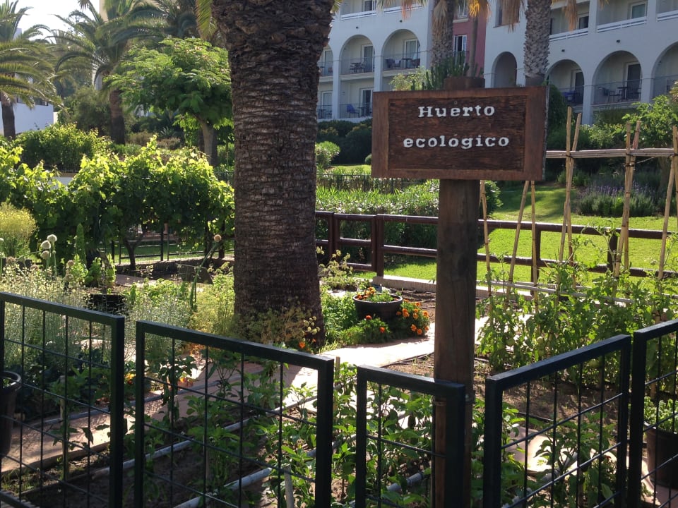 Gartenanlage Fuerte Costa Luz (Fuerte Conil-Resort)