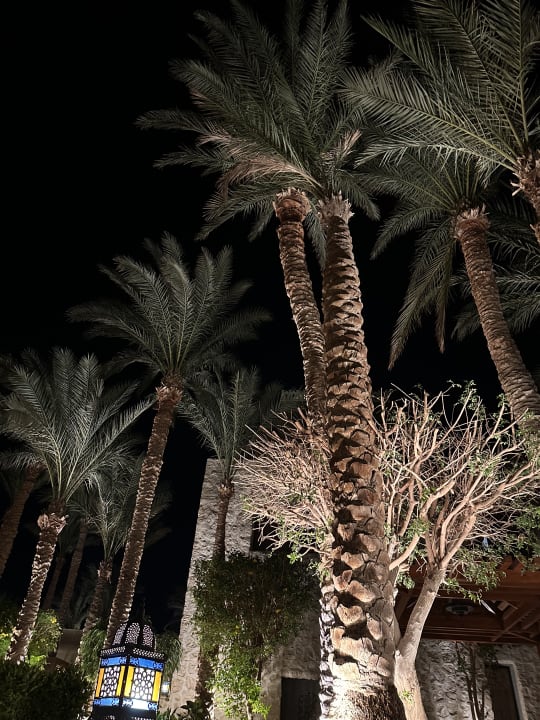 Ausblick Grand Waterworld Makadi & Family Star Makadi