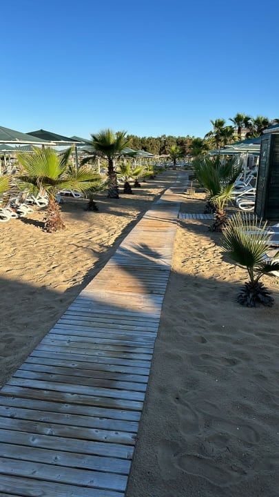 Strand Paloma Oceana