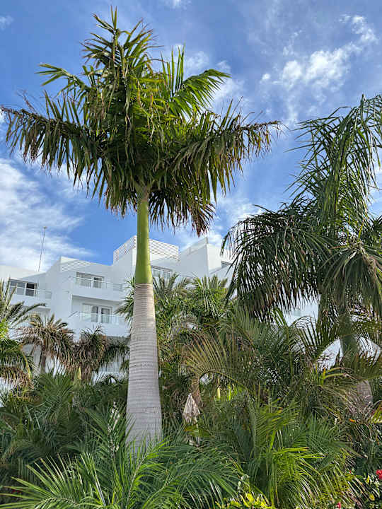 Außenansicht Hotel Riu Palace Jandia