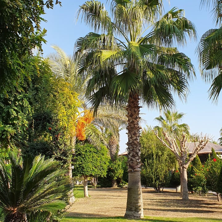 Garten Sherwood Exclusive Lara