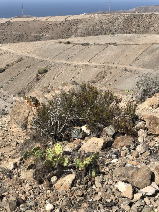 Gartenanlage Salobre Hotel Resort & Serenity