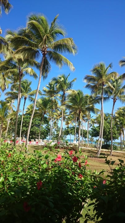 Palmengarten Wyndham Alltra Samana