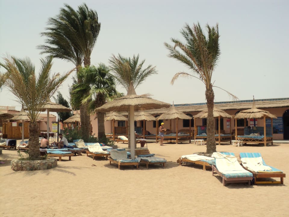 Plaża należąca do hotelu Pickalbatros Aqua Park Resort - Hurghada