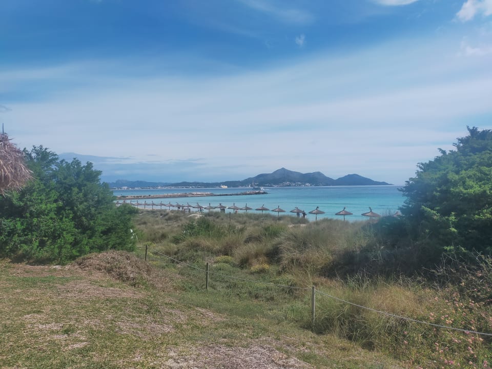 Ausblick Grupotel Natura Playa