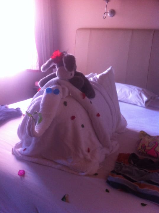 Dank an den Roomservice. Tägliche Freude Jaz Makadi Oasis Resort