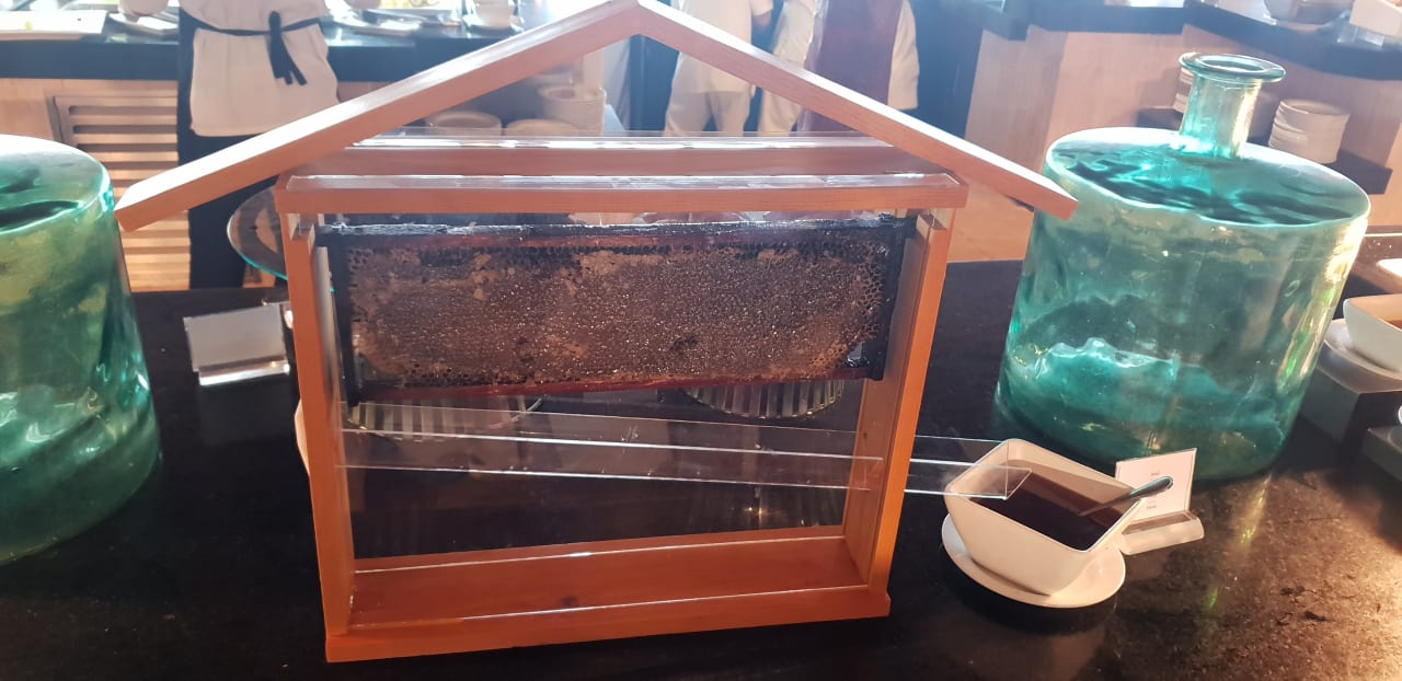 Gastro Akumal Bay Beach & Wellness Resort