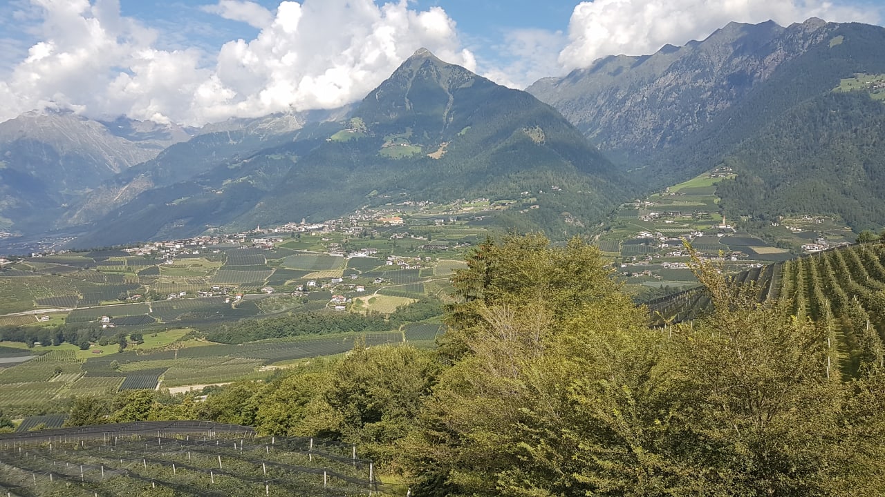 Ausblick Hotel Astor