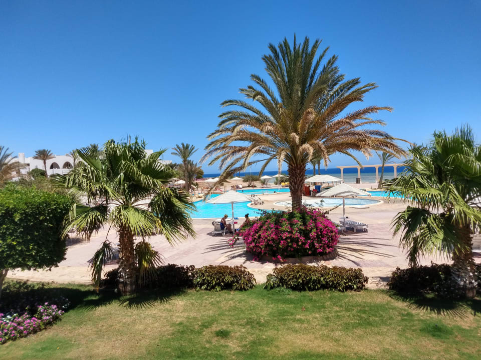 Pool Three Corners Equinox Beach Resort