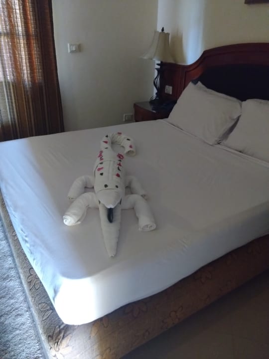 Zimmer Coral Hills Resorts & SPA