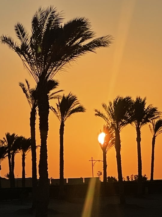 Ausblick ROBINSON SOMA BAY