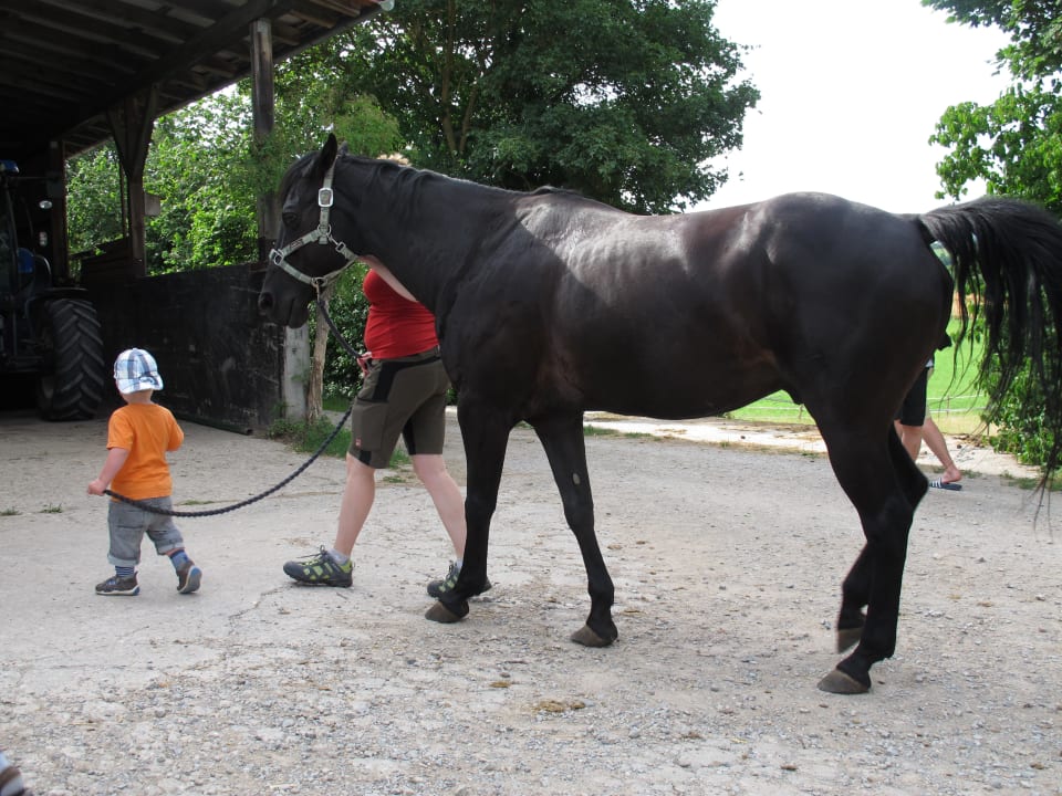 Sport & Freizeit Ferienhof Neudeck