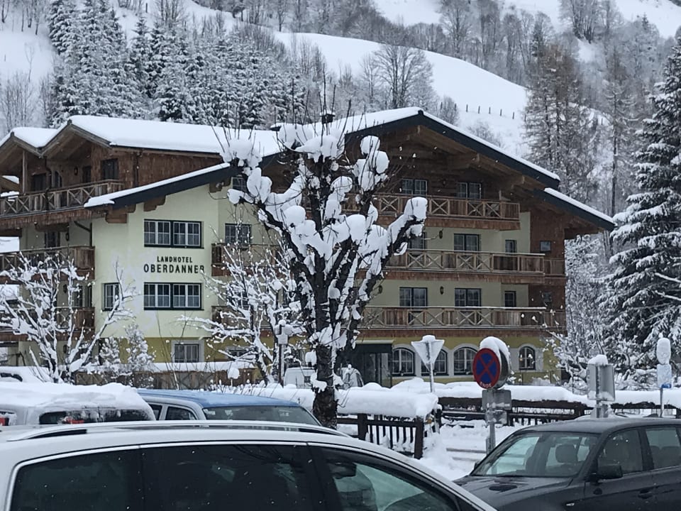 Außenansicht ARBOR - Hotel & Apartments