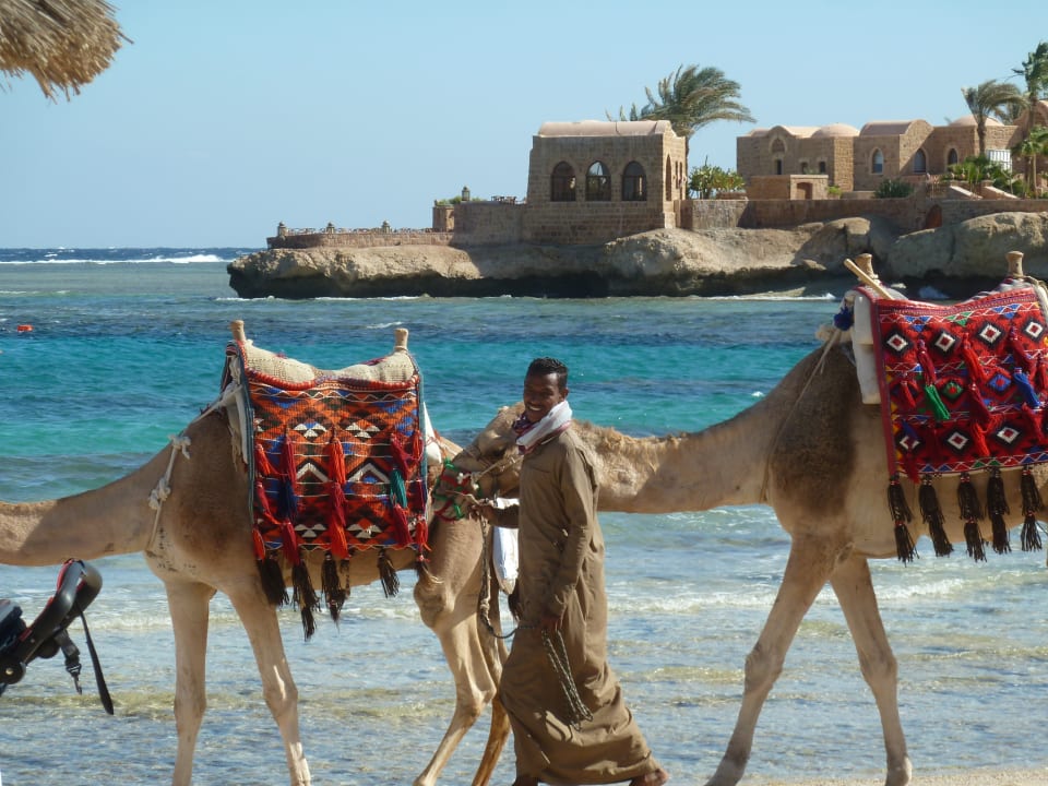 Strand Mövenpick Resort El Quseir