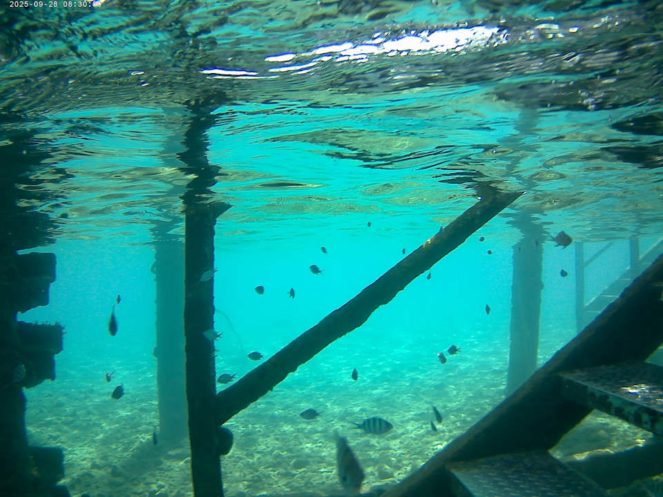 Strand Sentido Mamlouk Palace Resort