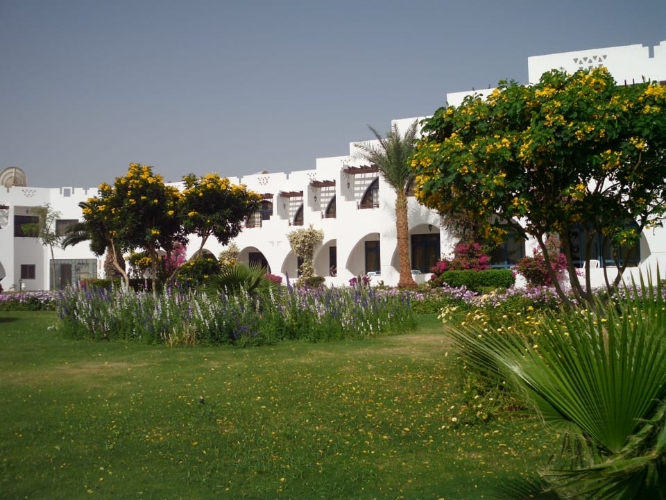 Gartenanlage Three Corners Equinox Beach Resort