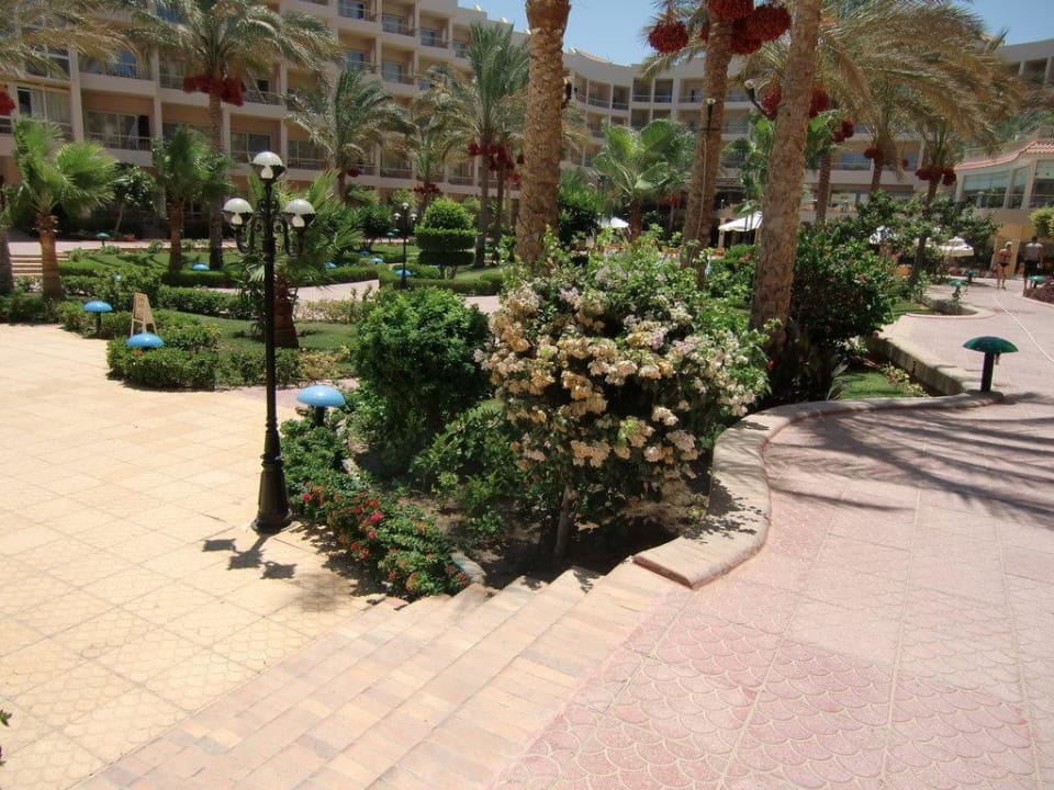 Innenhof Sea Star Beau Rivage
