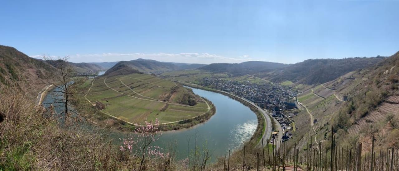 Ausblick Gästehaus  und Ferienhaus Erich Bremm