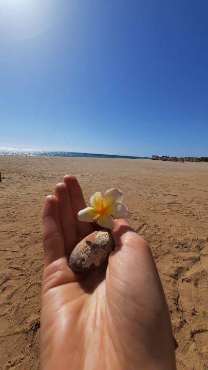 Strand Baron Palace Sahl Hasheesh