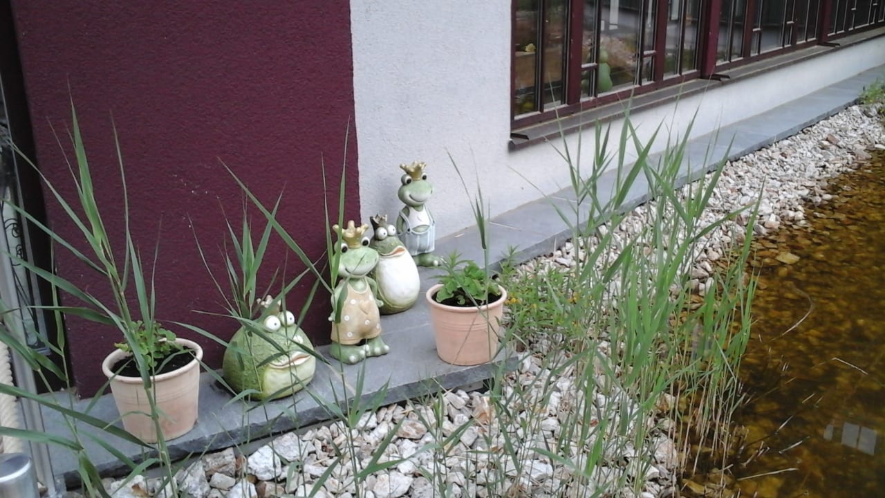 Gartenanlage Spirit & SPA Hotel Birkenhof am Elfenhain