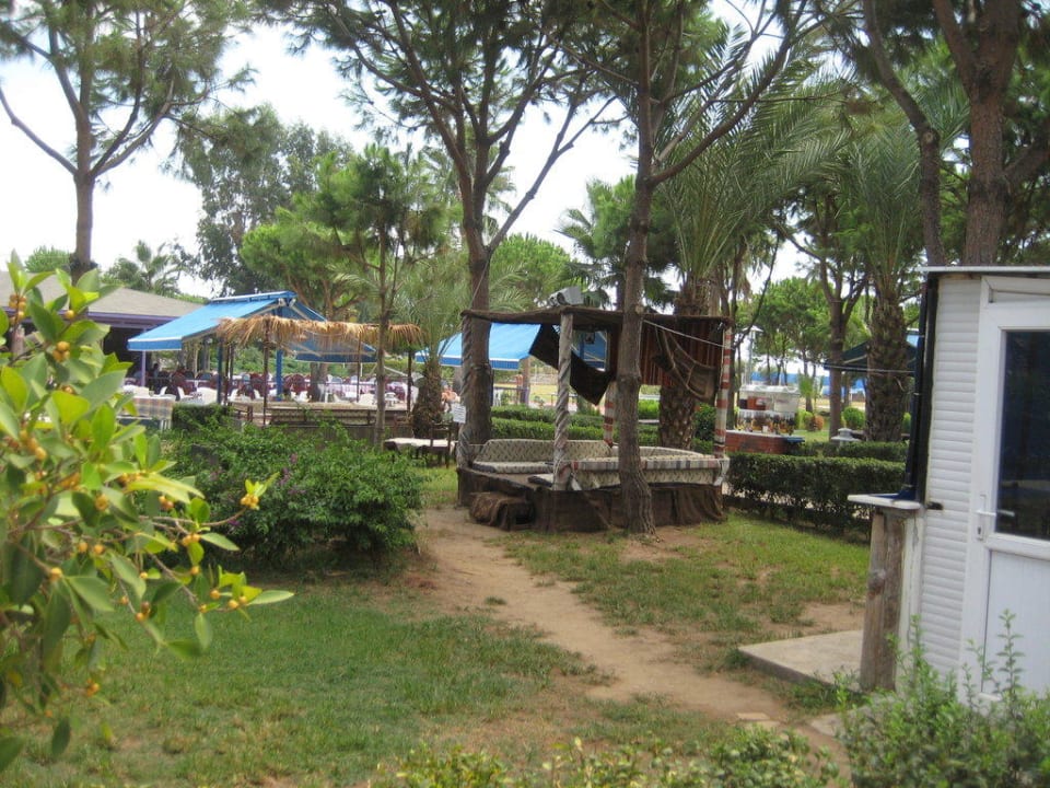 ShiSha-Bar Club Turtas Beach Hotel