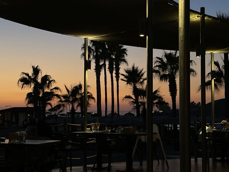 Ausblick TUI BLUE Palm Garden