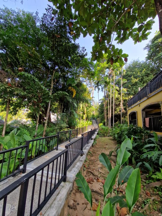 Gartenanlage Moracea by Khao Lak Resort