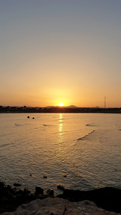 Ausblick Steigenberger Coraya Beach - Adults only