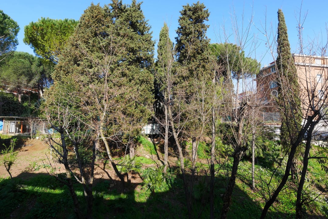 Sicht auf den hinteren Bereich des Hotels Hotel Cardinal Saint Peter