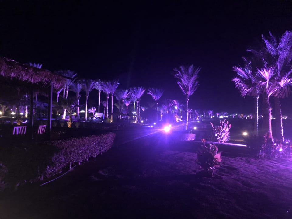Strand Jaz Dar EL Madina