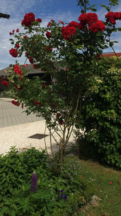 Gartenanlage Ferienwohnung Heissenhof