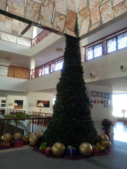 Lobby                       Hotel Costa Calero