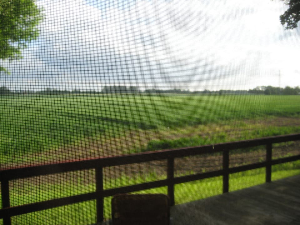 Aussicht vom Terrassenplatz Nordseeferienhof Katthusen