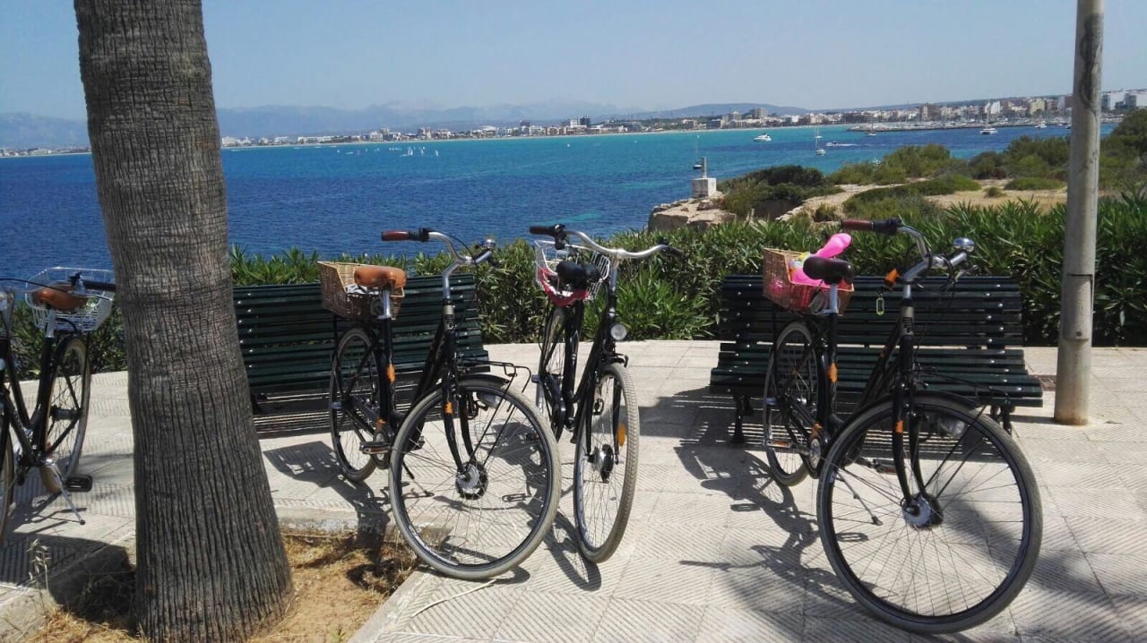 Wir kommen gerne wieder Hotel Playa Golf