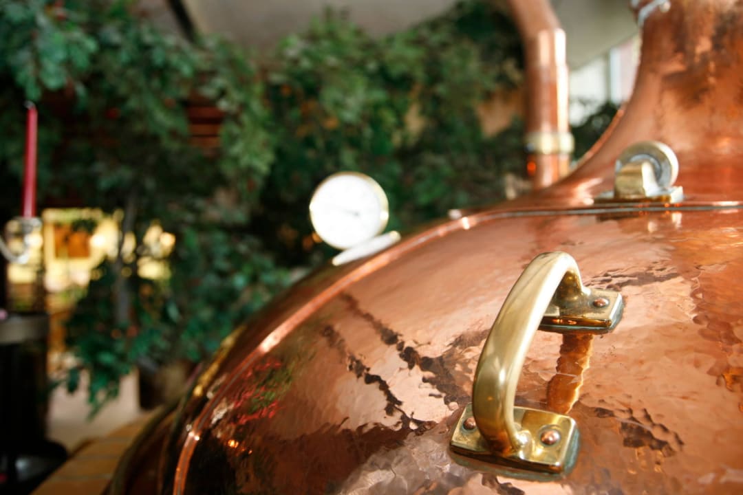 Restaurant Hotelpark Stadtbrauerei Arnstadt