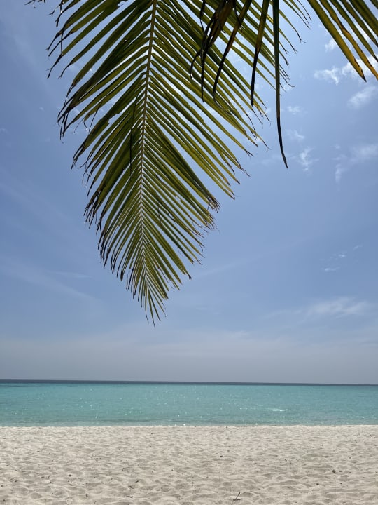 Strand Summer Island Maldives