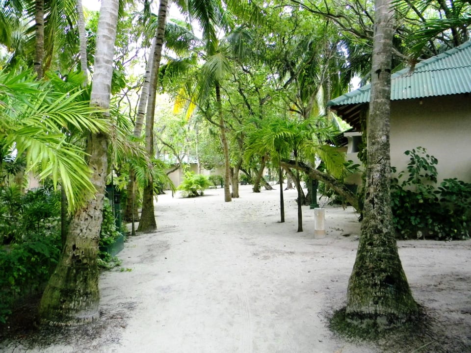 Inmitten der Insel Summer Island Maldives