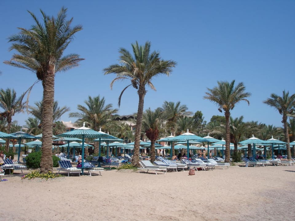 Strand vom Hotel Hotel Le Pacha Beach Resort