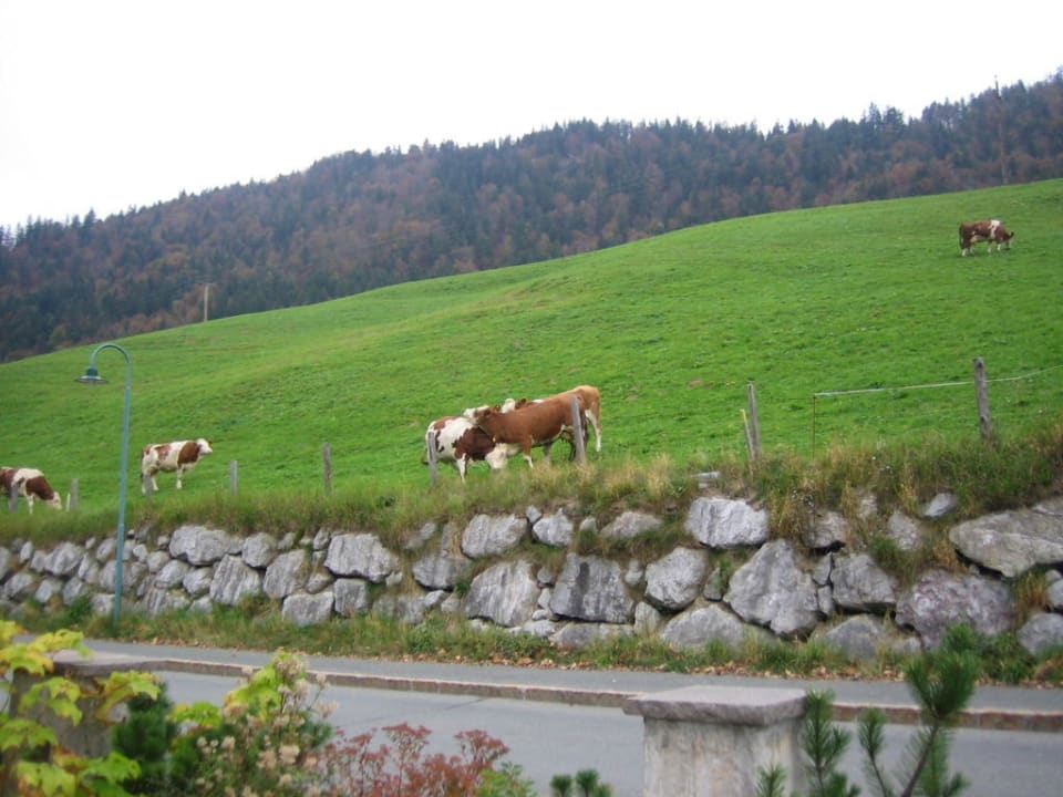 Natur pur Hotel Jagdschlössl