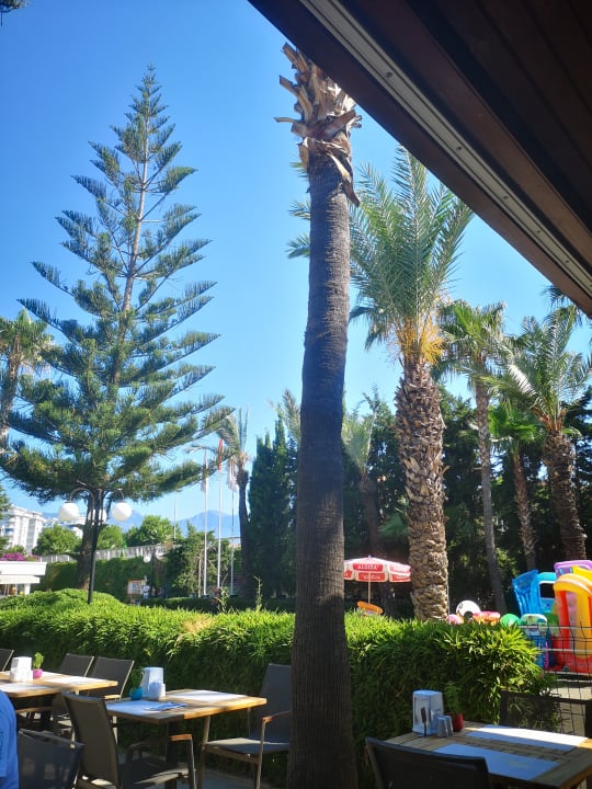 Gastro Labranda Alantur Resort