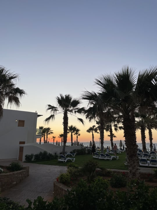 Gartenanlage Lyttos Beach Hotel