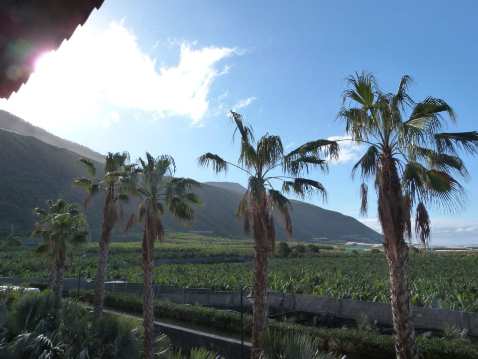 Blick vonder Restaurantterrasse Richtung Plantagen La Palma Princess